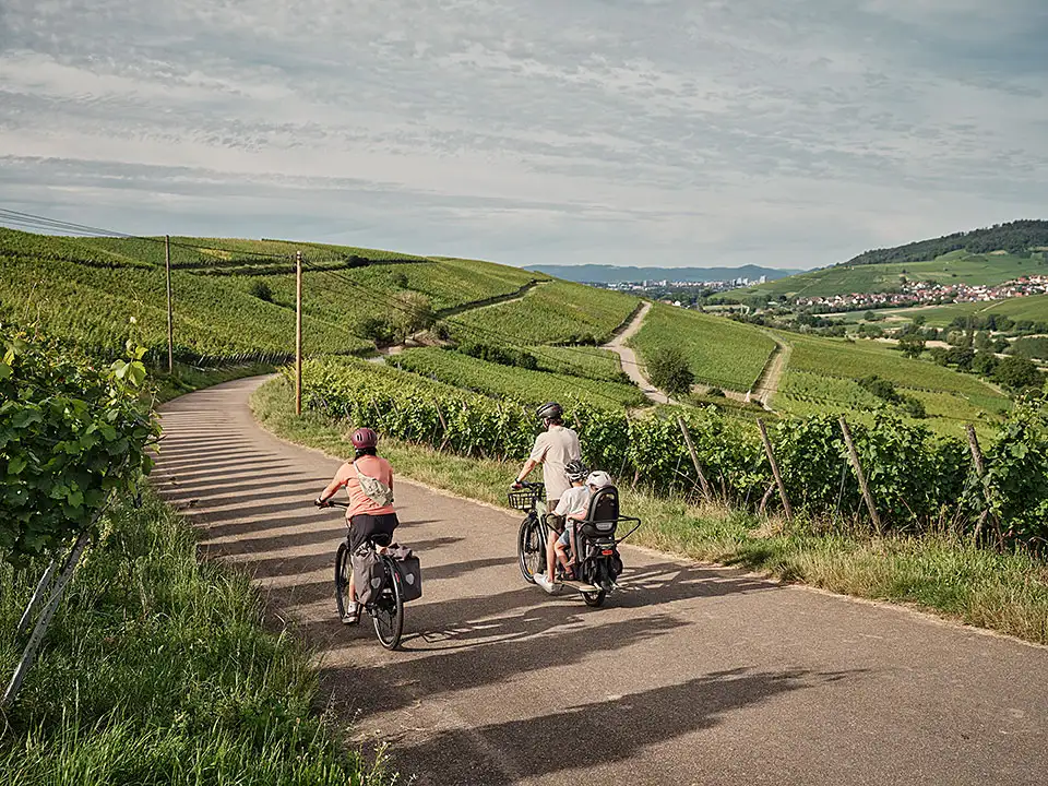 Familie radelt am Weinberg Schönberg